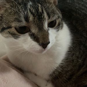 Meet your Posher, Carly